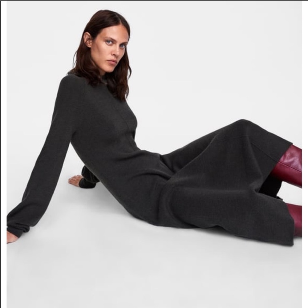 NWT Zara dress